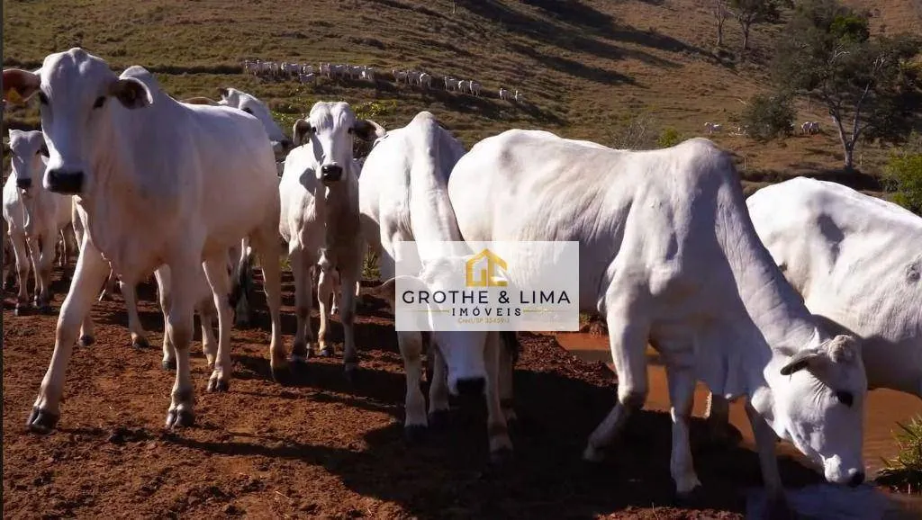 Fazenda à venda de 650 ha em Taubaté, SP, Brasil
