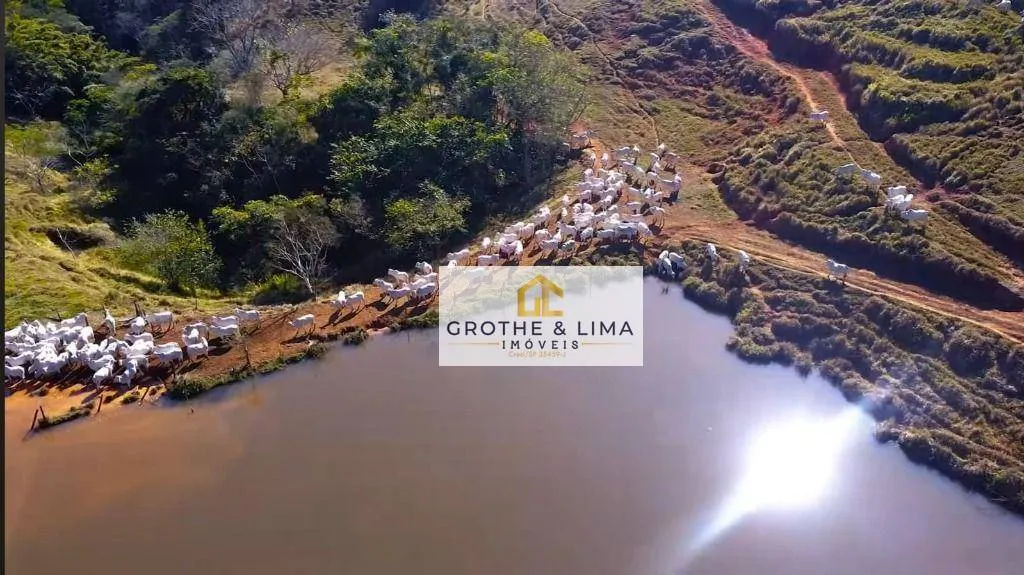 Fazenda à venda de 650 ha em Taubaté, SP, Brasil
