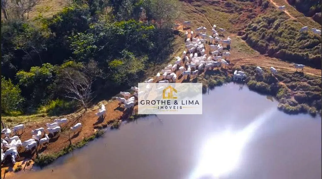 Fazenda à venda de 650 ha em Taubaté, SP, Brasil