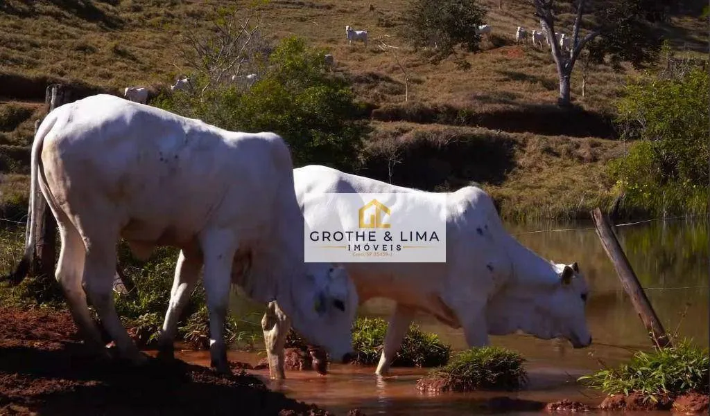 Fazenda à venda de 650 ha em Taubaté, SP, Brasil