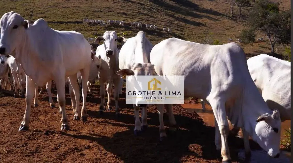 Fazenda à venda de 650 ha em Taubaté, SP, Brasil
