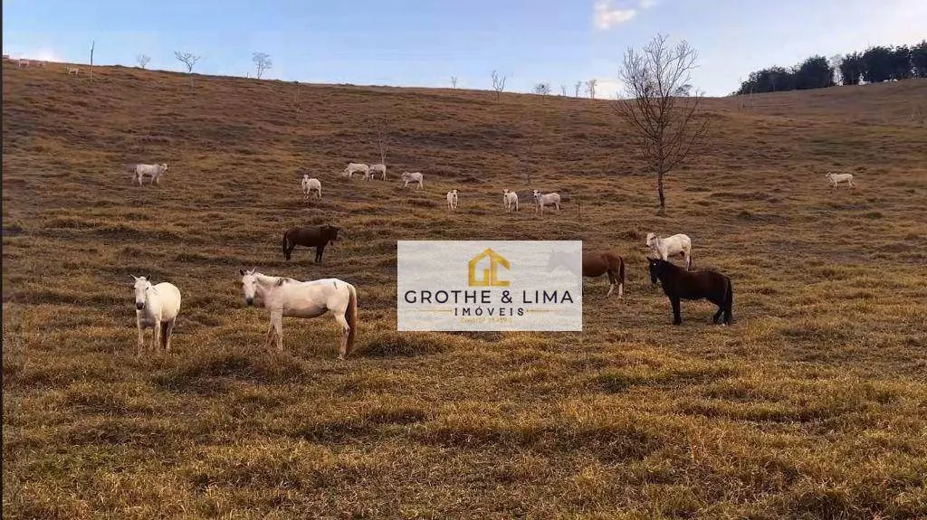 Fazenda à venda de 650 ha em Taubaté, SP, Brasil