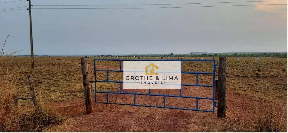 Fazenda à venda de 450 ha em Araguaína, TO, Brasil