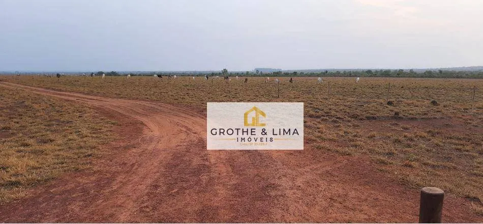 Fazenda à venda de 450 ha em Araguaína, TO, Brasil