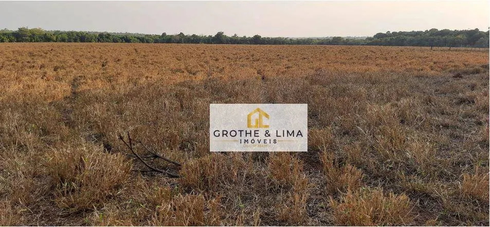 Fazenda à venda de 450 ha em Araguaína, TO, Brasil
