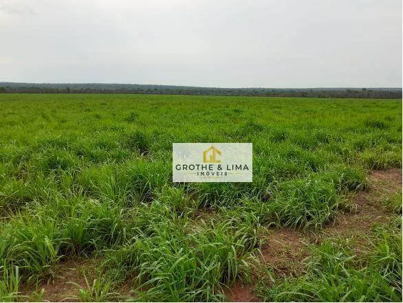 Fazenda à venda de 450 ha em Araguaína, TO, Brasil