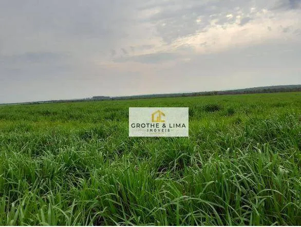 Fazenda à venda de 450 ha em Araguaína, TO, Brasil