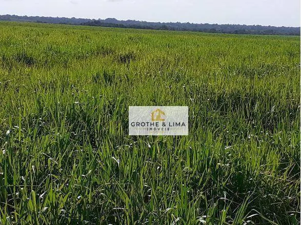 Fazenda à venda de 450 ha em Araguaína, TO, Brasil