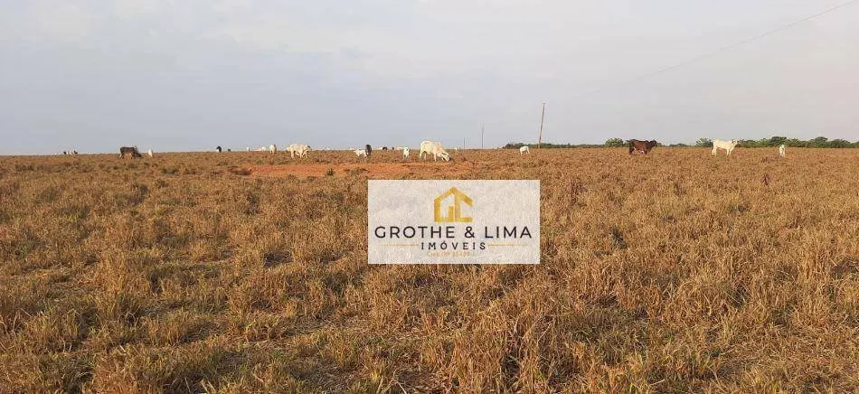Fazenda à venda de 450 ha em Araguaína, TO, Brasil