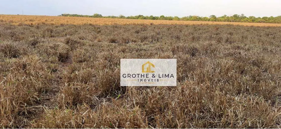 Fazenda à venda de 450 ha em Araguaína, TO, Brasil