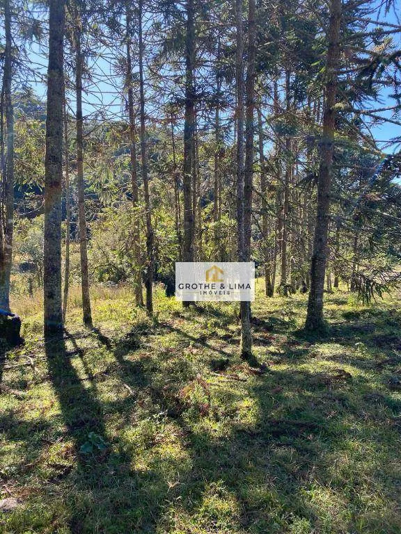 Sítio à venda de 5 ha em Gonçalves, MG, Brasil