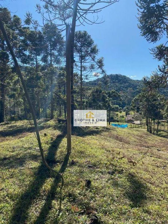 Sítio à venda de 5 ha em Gonçalves, MG, Brasil