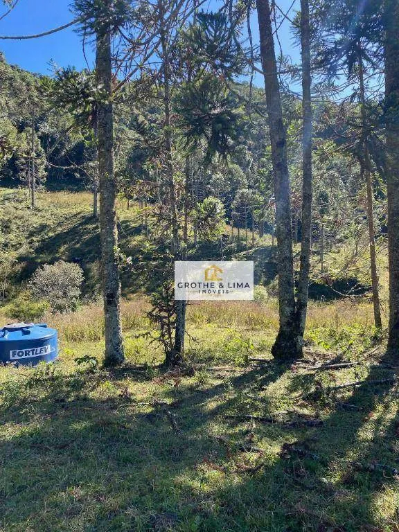 Sítio à venda de 5 ha em Gonçalves, MG, Brasil