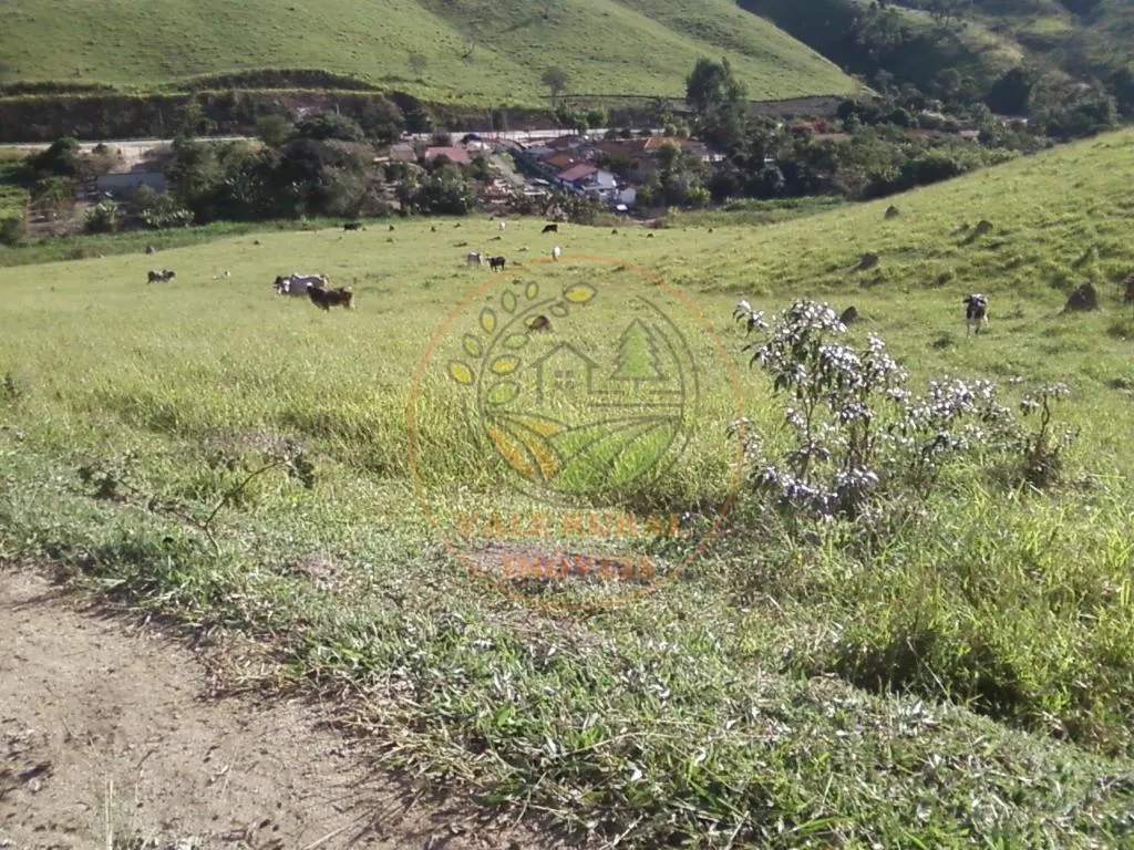 Fazenda à venda de 54 ha em Natividade da Serra, SP, Brasil