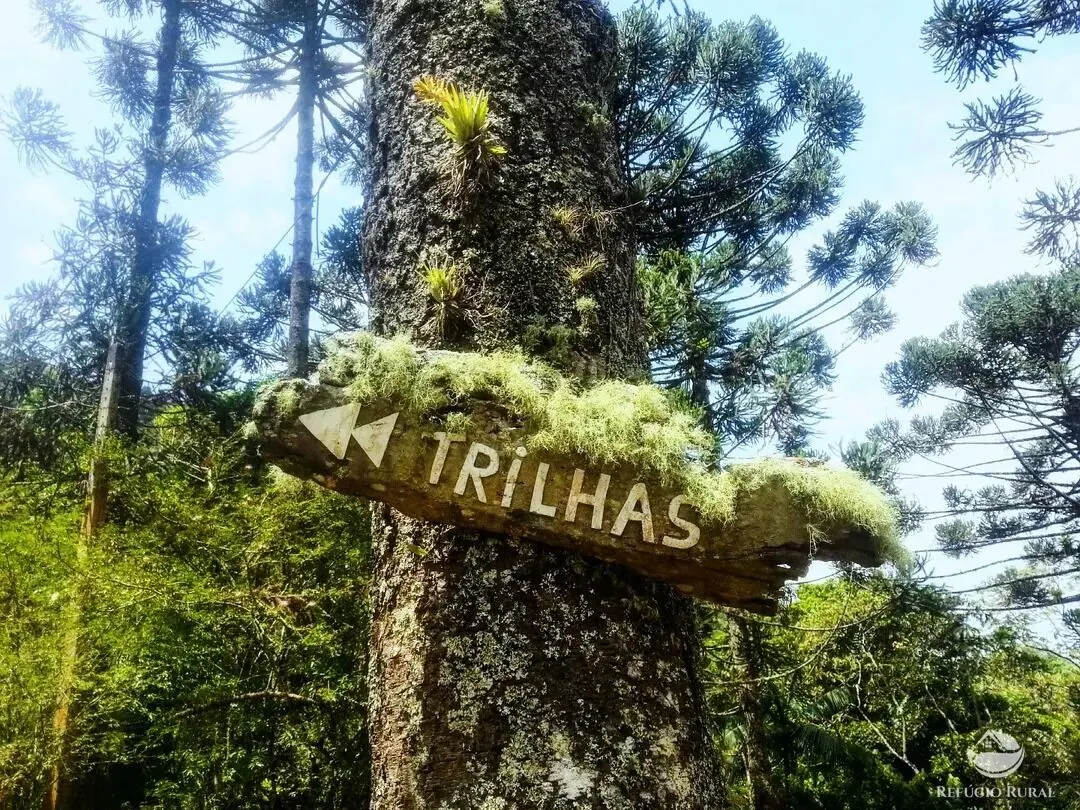 Sítio para Arrendar de 5 ha em São José dos Campos, SP, Brasil