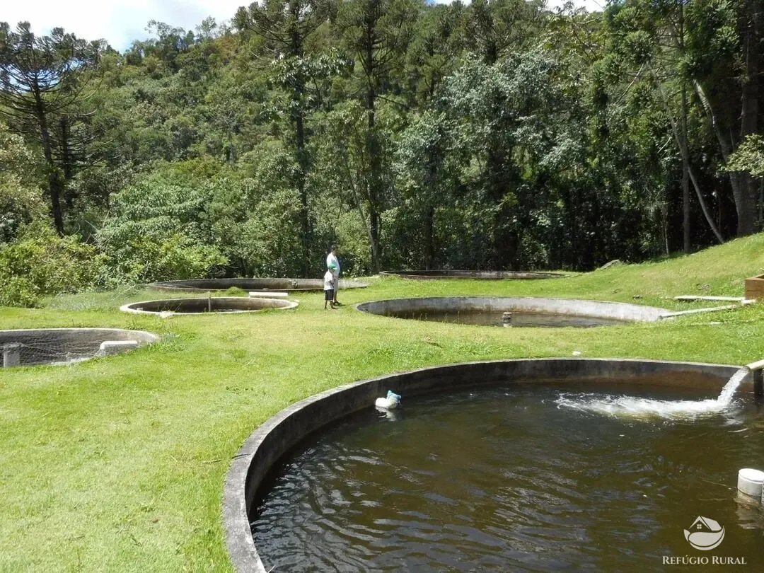 Sítio para Arrendar de 5 ha em São José dos Campos, SP, Brasil