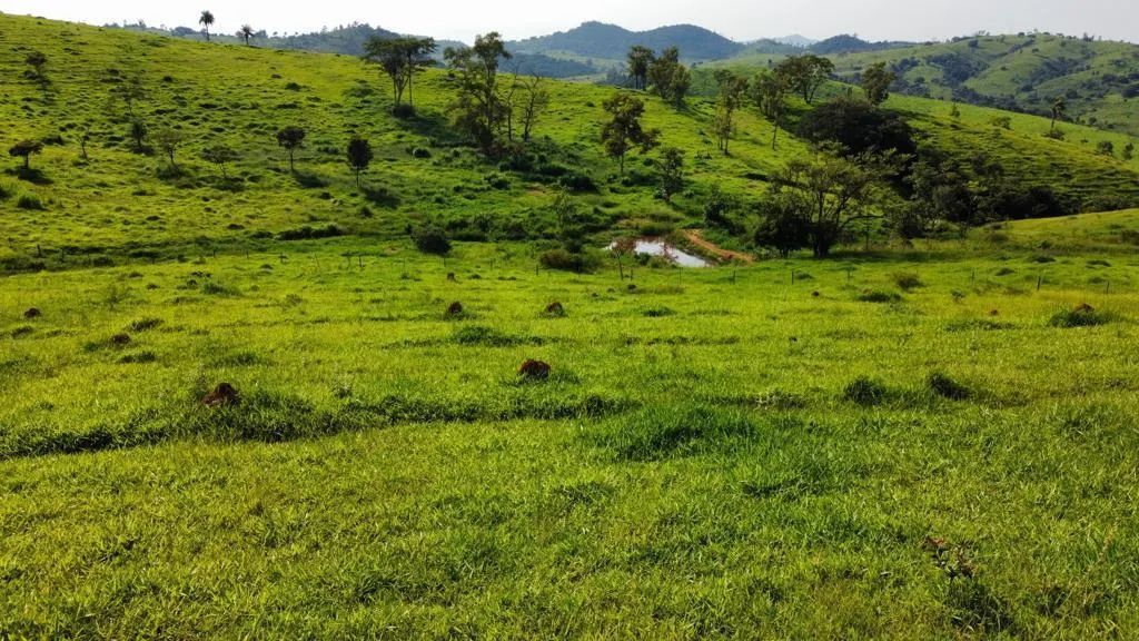 Fazenda à venda de 218 ha em Itapira, SP, Brasil