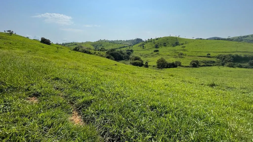 Fazenda à venda de 218 ha em Itapira, SP, Brasil