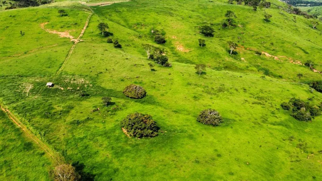 Fazenda à venda de 218 ha em Itapira, SP, Brasil