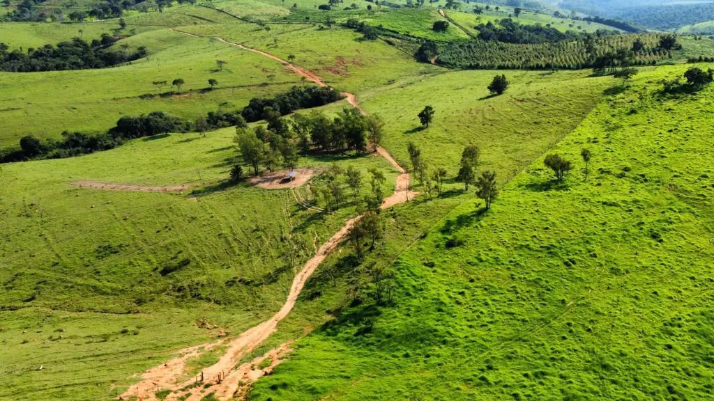 Fazenda à venda de 218 ha em Itapira, SP, Brasil