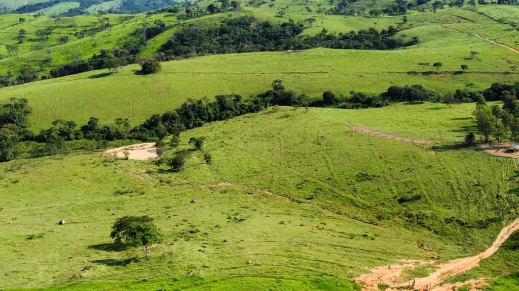 Fazenda à venda de 218 ha em Itapira, SP, Brasil