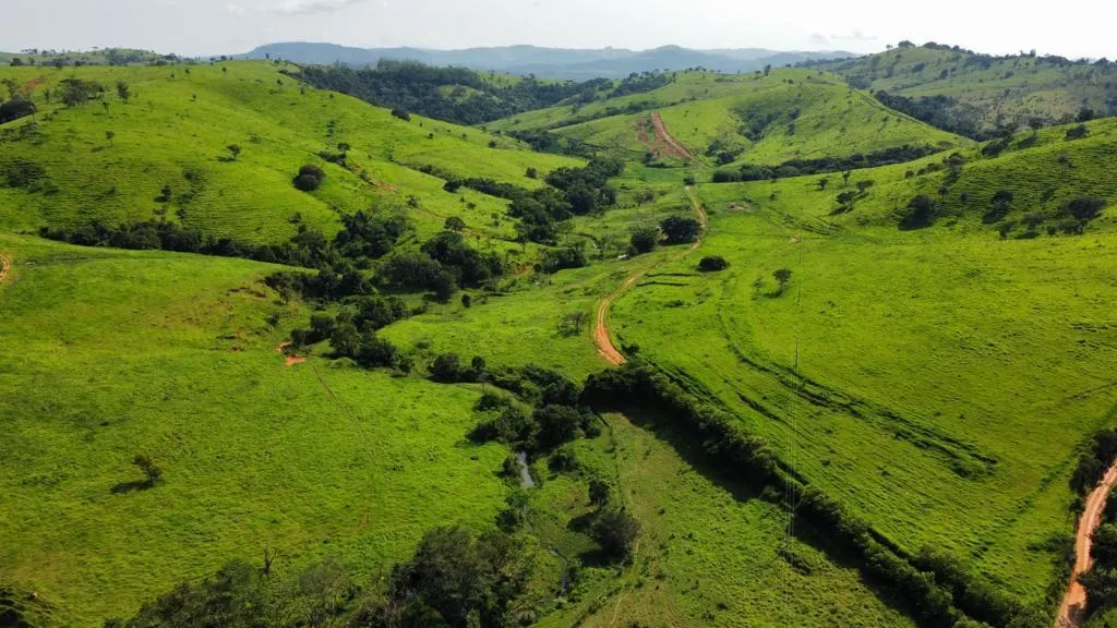 Fazenda à venda de 218 ha em Itapira, SP, Brasil