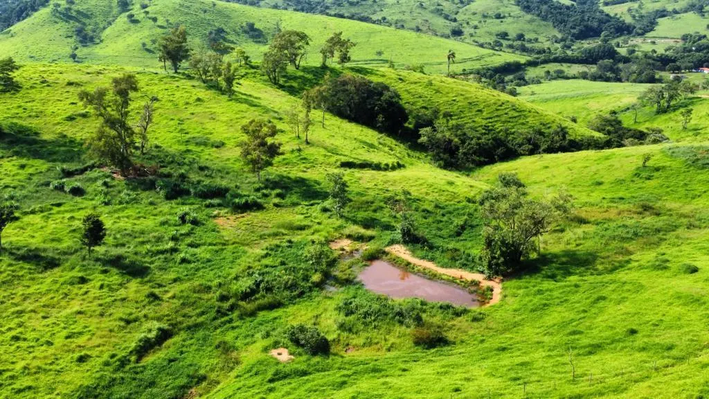 Fazenda à venda de 218 ha em Itapira, SP, Brasil