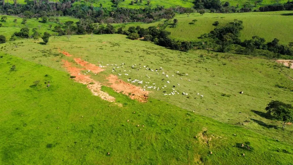 Fazenda à venda de 218 ha em Itapira, SP, Brasil
