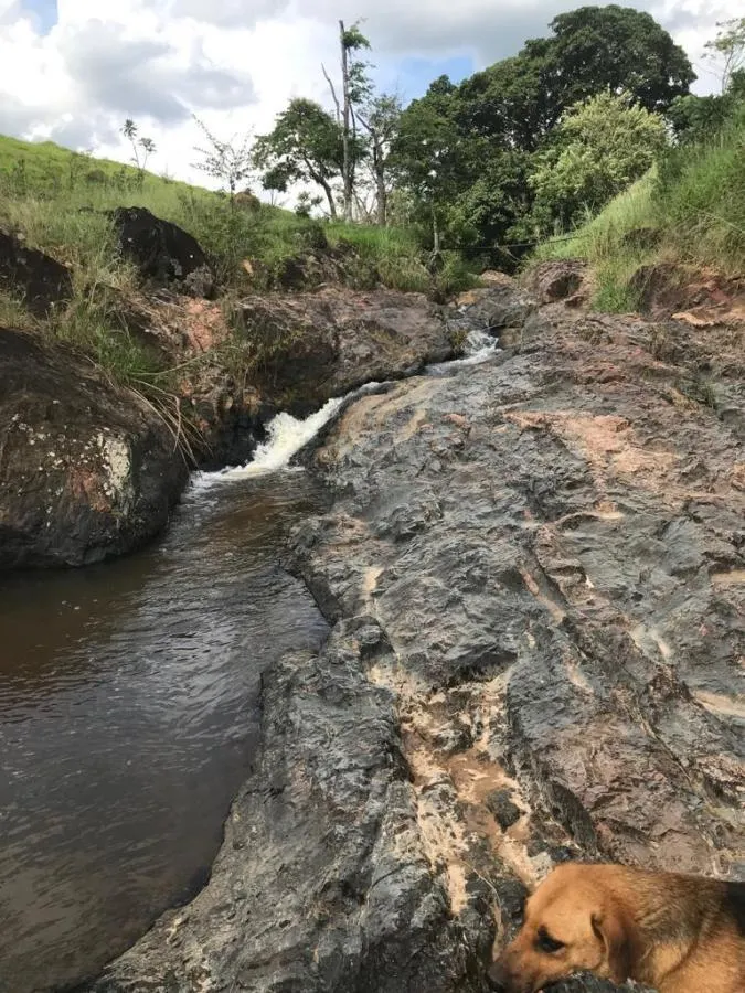 Fazenda à venda de 218 ha em Itapira, SP, Brasil