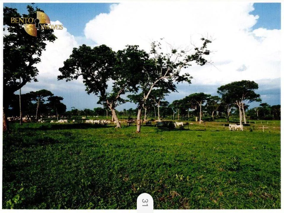 Fazenda à venda de 9.985 ha em Cuiabá, MT, Brasil