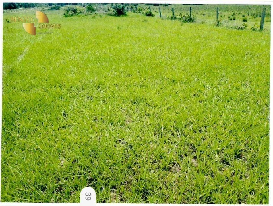 Fazenda à venda de 9.985 ha em Cuiabá, MT, Brasil