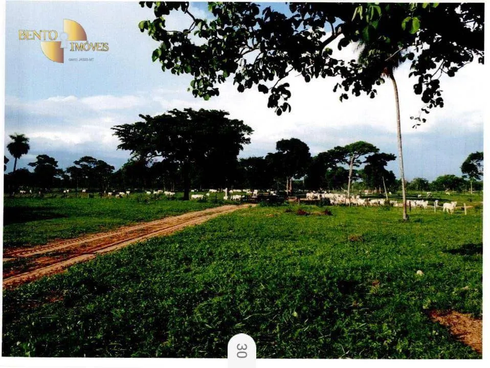 Fazenda à venda de 9.985 ha em Cuiabá, MT, Brasil
