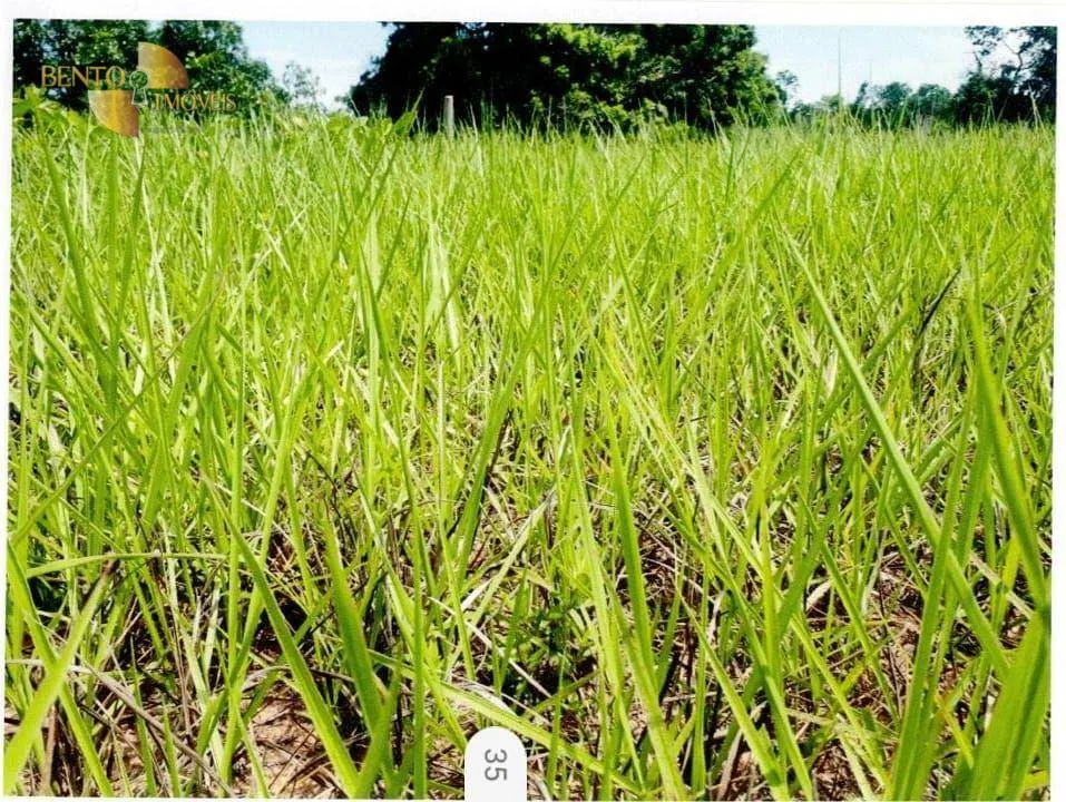 Fazenda à venda de 9.985 ha em Cuiabá, MT, Brasil