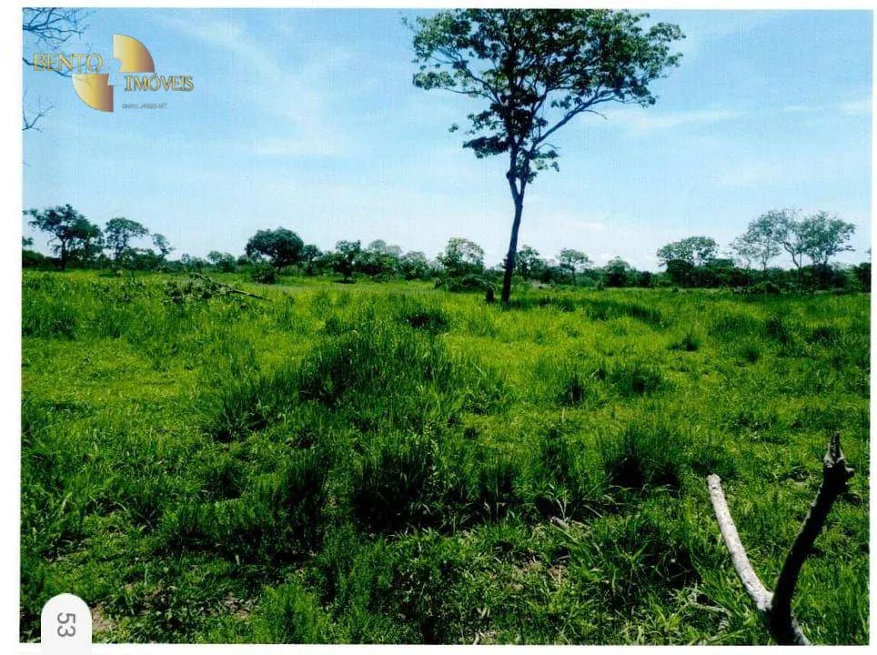 Fazenda à venda de 9.985 ha em Cuiabá, MT, Brasil