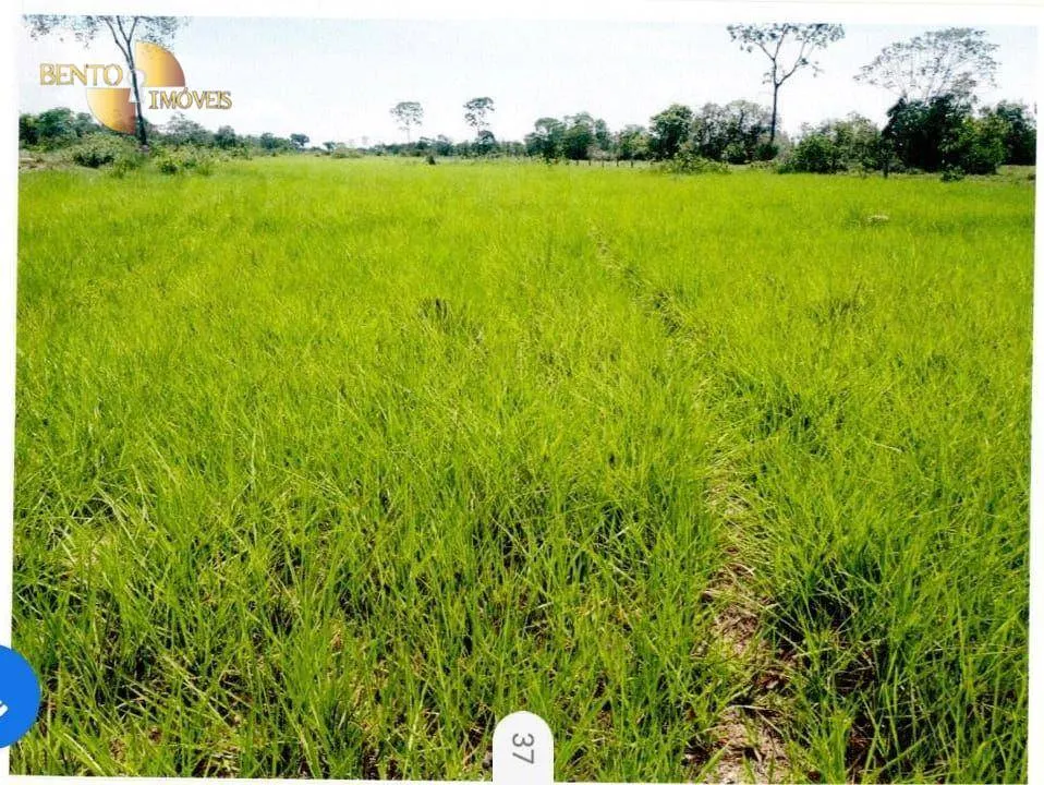 Fazenda à venda de 9.985 ha em Cuiabá, MT, Brasil