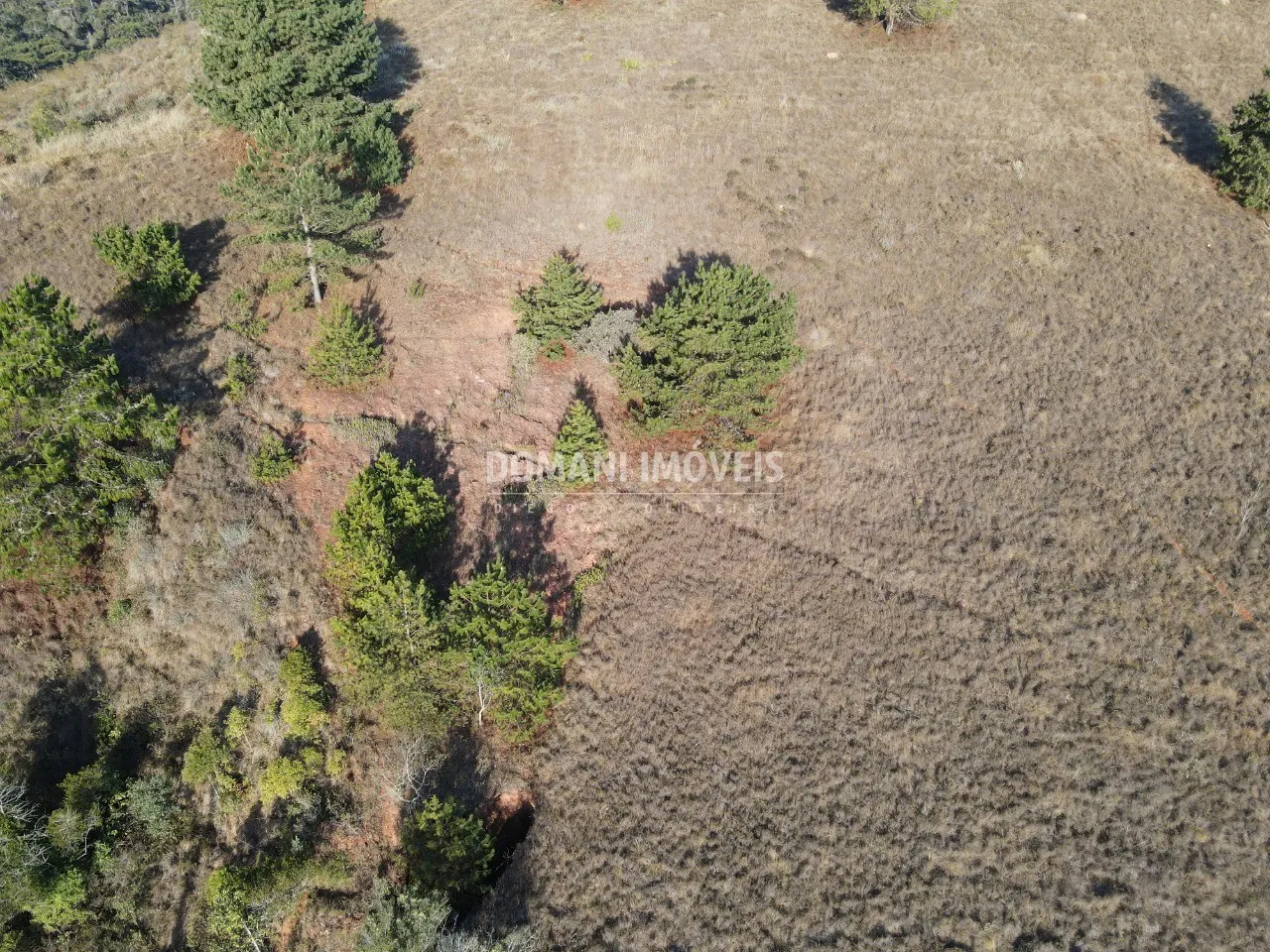 Terreno à venda de 1.250 m² em Campos do Jordão, SP, Brasil