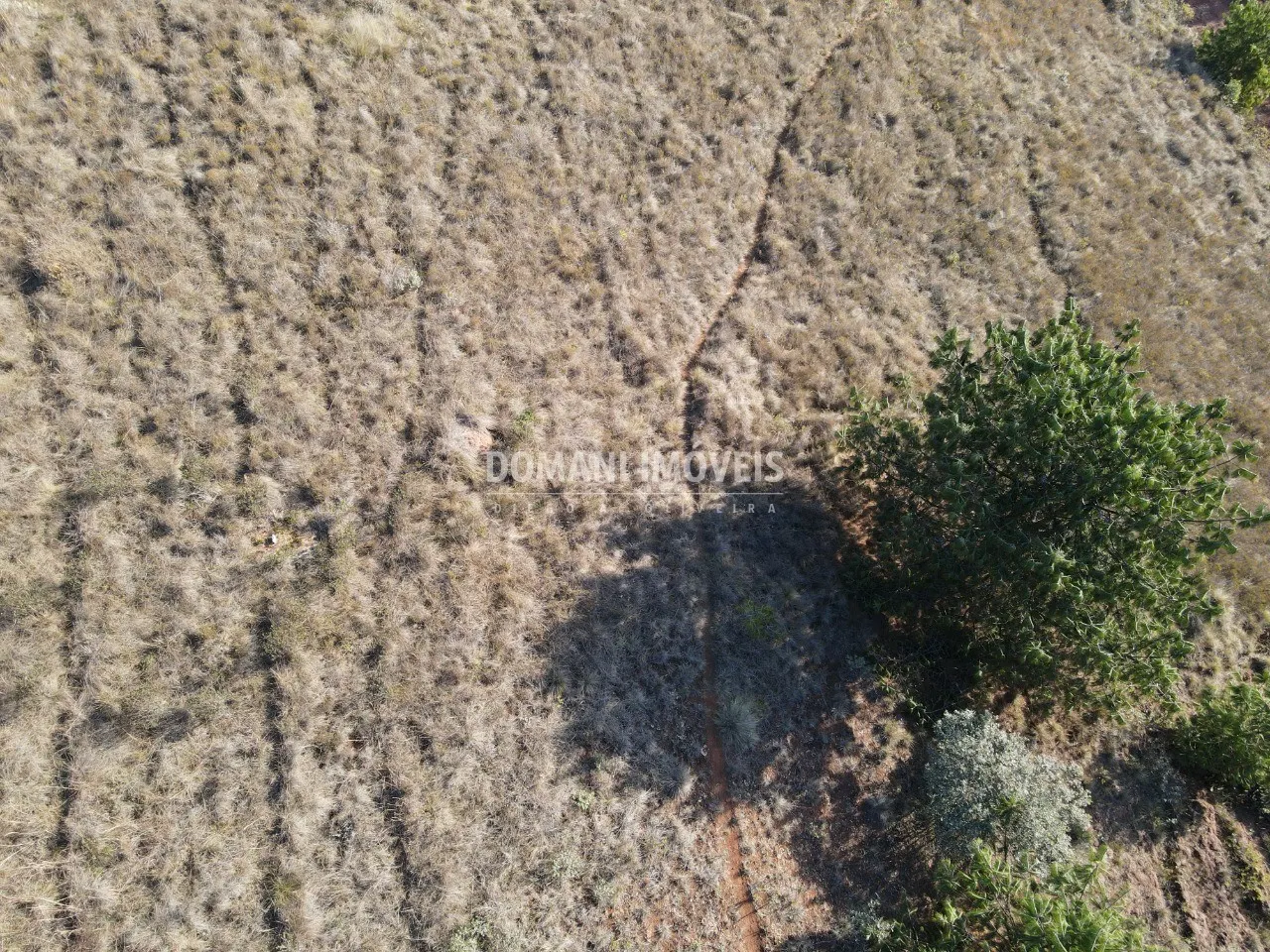 Terreno à venda de 1.250 m² em Campos do Jordão, SP, Brasil