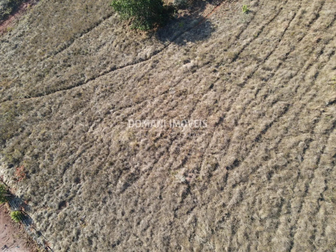 Terreno à venda de 1.250 m² em Campos do Jordão, SP, Brasil