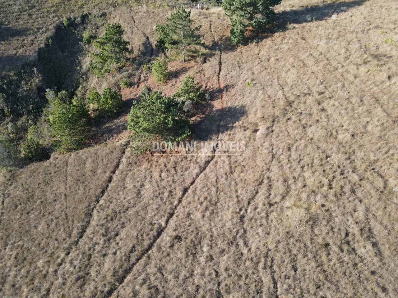 Terreno à venda de 1.250 m² em Campos do Jordão, SP, Brasil