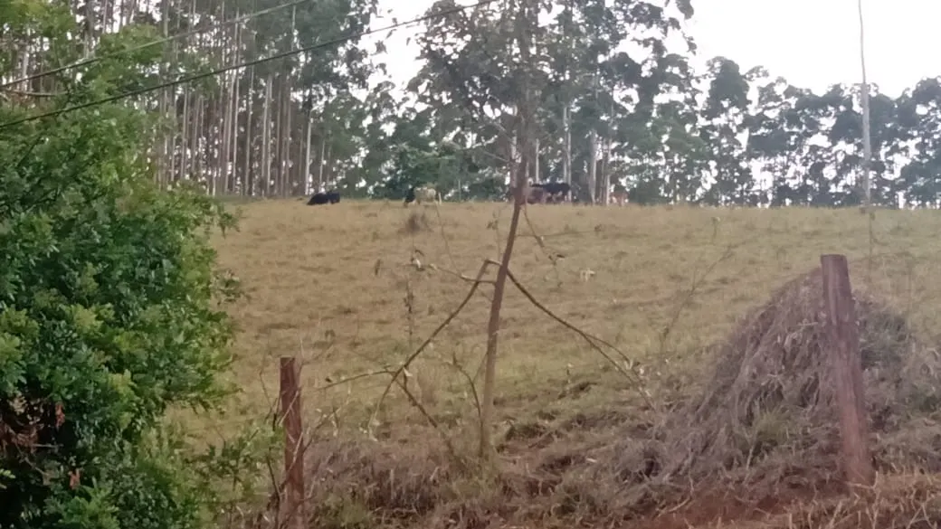 Sítio à venda de 23 ha em Guapiara, SP, Brasil
