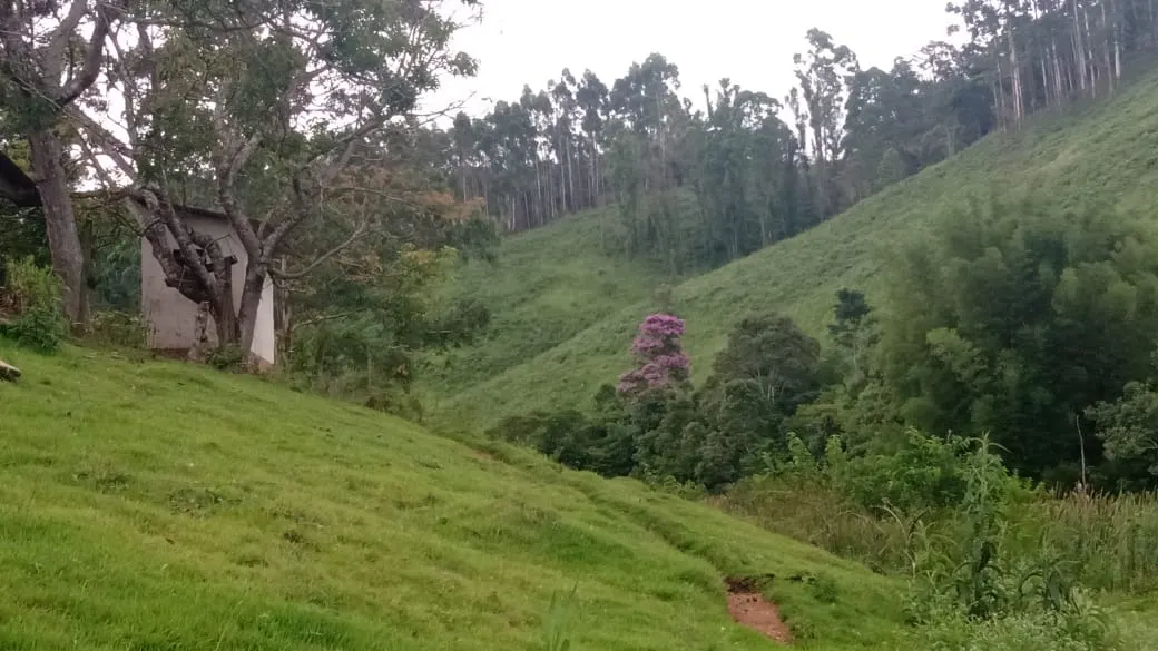 Sítio à venda de 23 ha em Guapiara, SP, Brasil