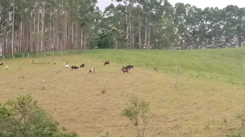 Sítio à venda de 23 ha em Guapiara, SP, Brasil