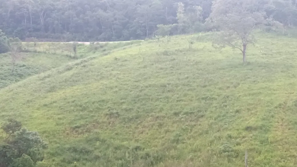Sítio à venda de 23 ha em Guapiara, SP, Brasil