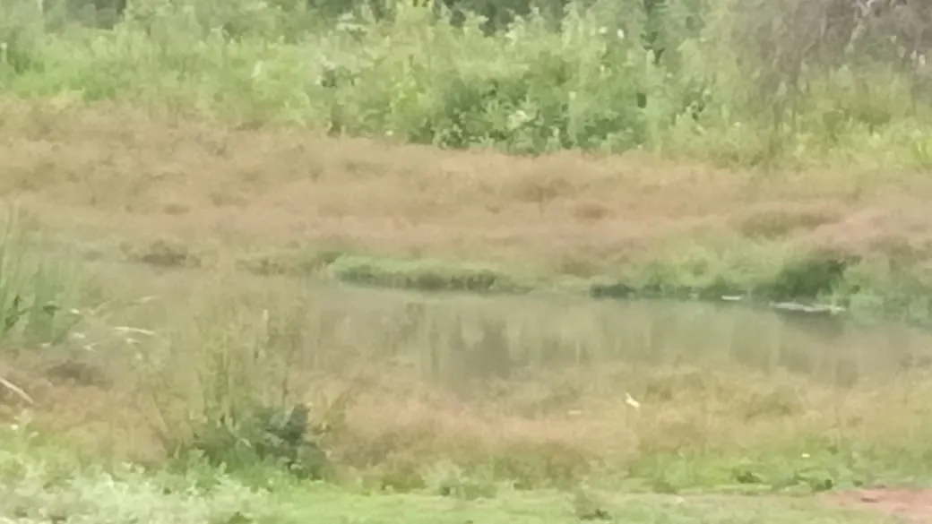 Sítio à venda de 23 ha em Guapiara, SP, Brasil