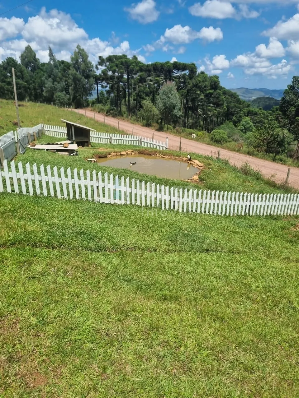 Farm for sale of 12 acres in Bom Jardim da Serra, SC, Brazil