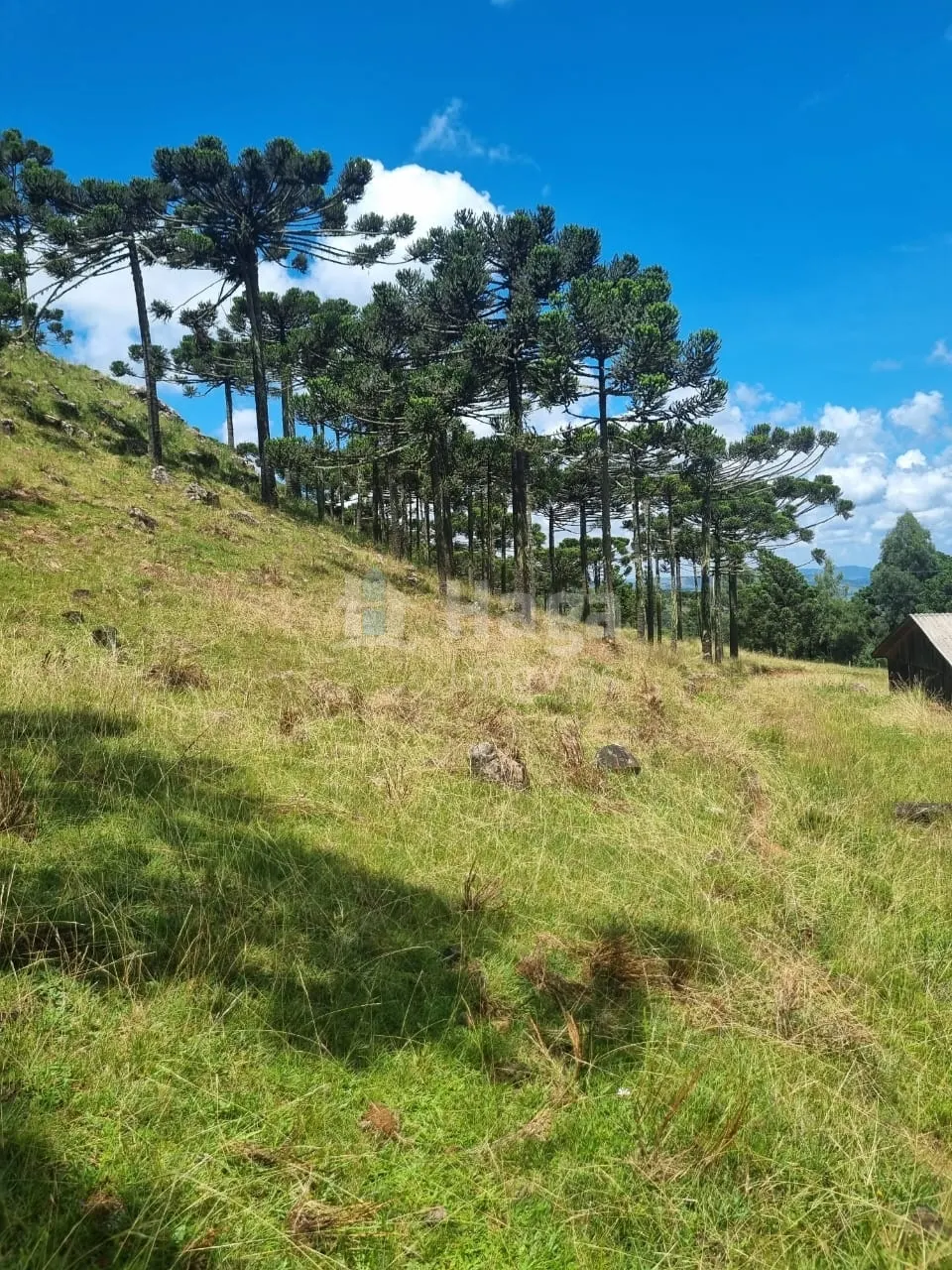 Farm for sale of 12 acres in Bom Jardim da Serra, SC, Brazil