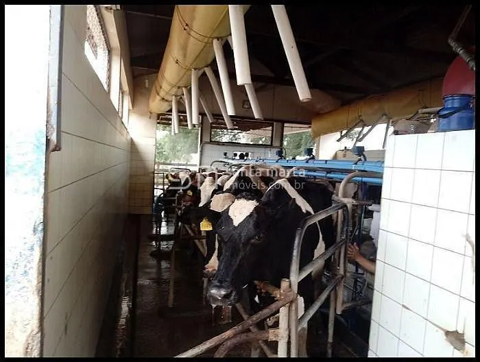 Fazenda à venda de 440.000 ha em Lorena, SP, Brasil
