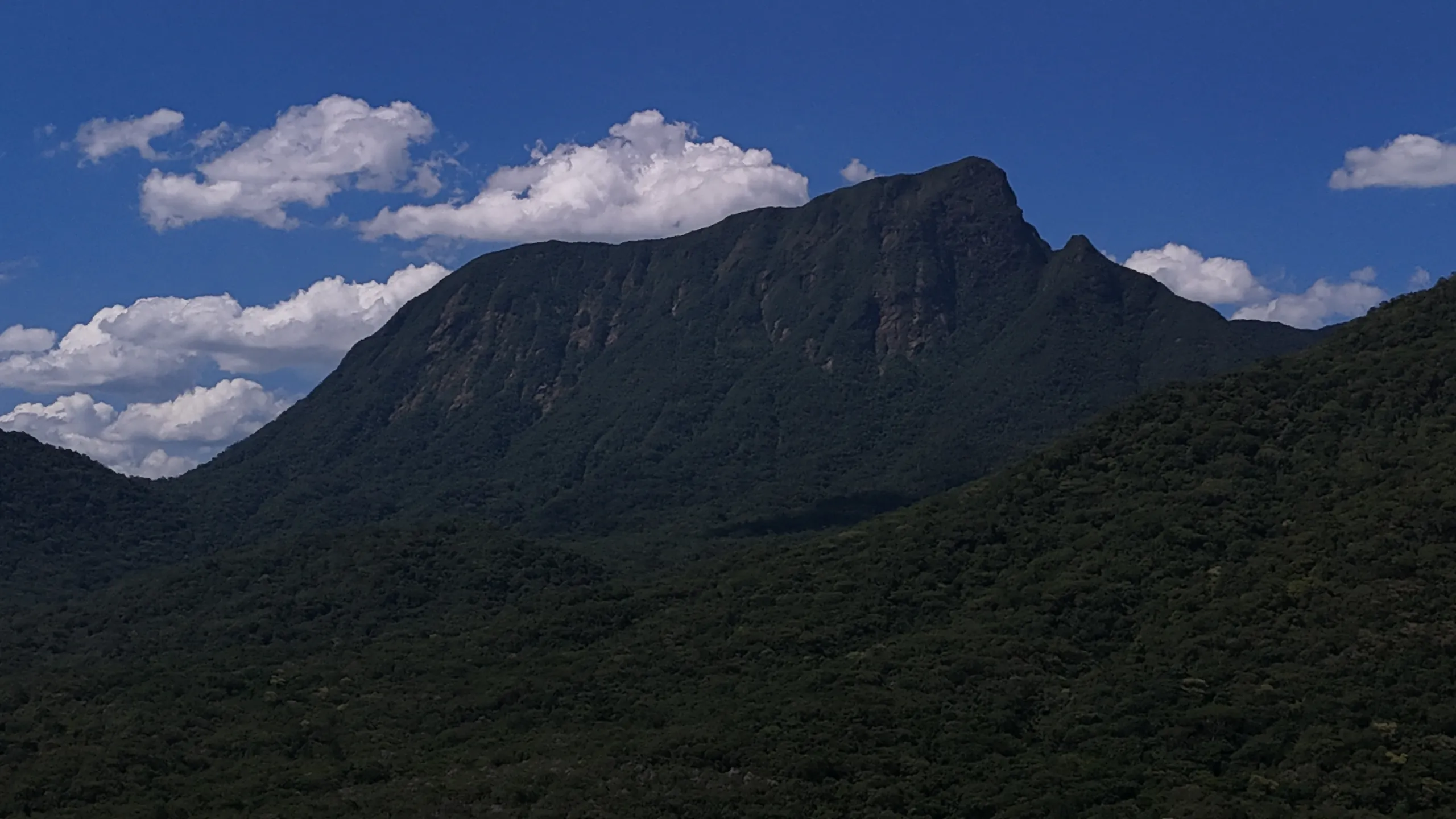 Fazenda à venda e para Arrendar de 98 ha em Guaratuba, PR, Brasil