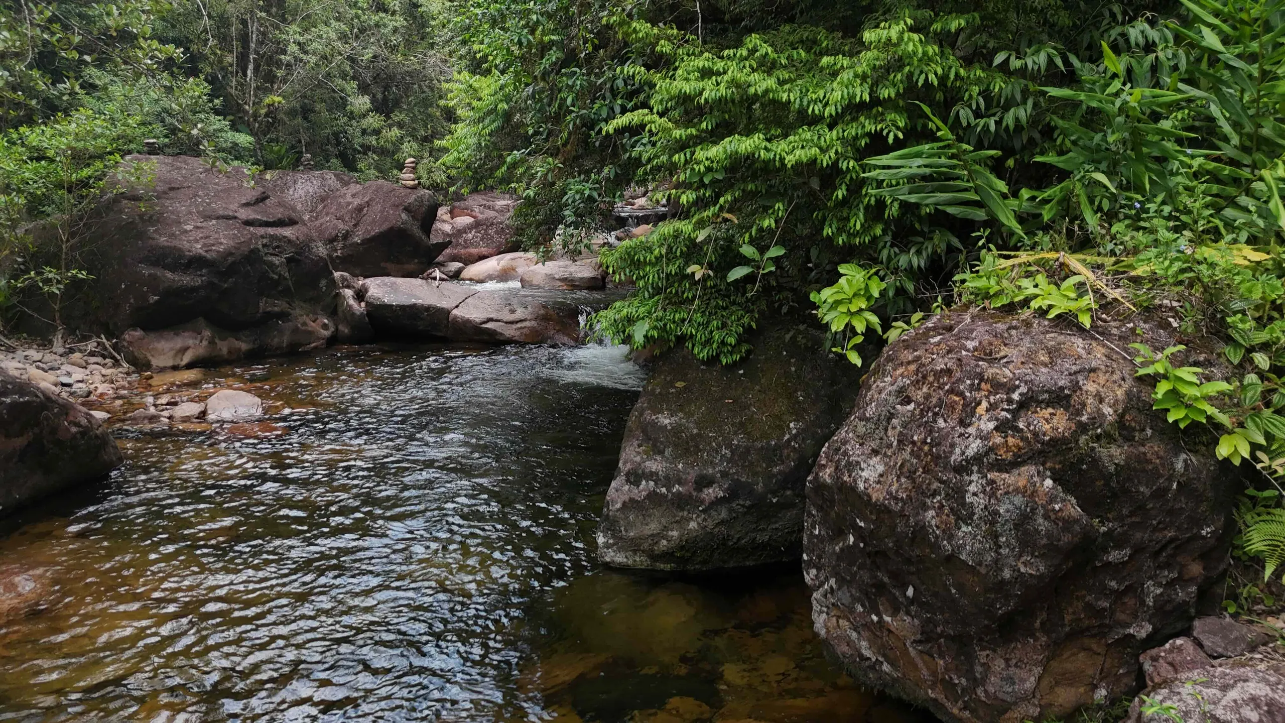 Fazenda à venda e para Arrendar de 98 ha em Guaratuba, PR, Brasil