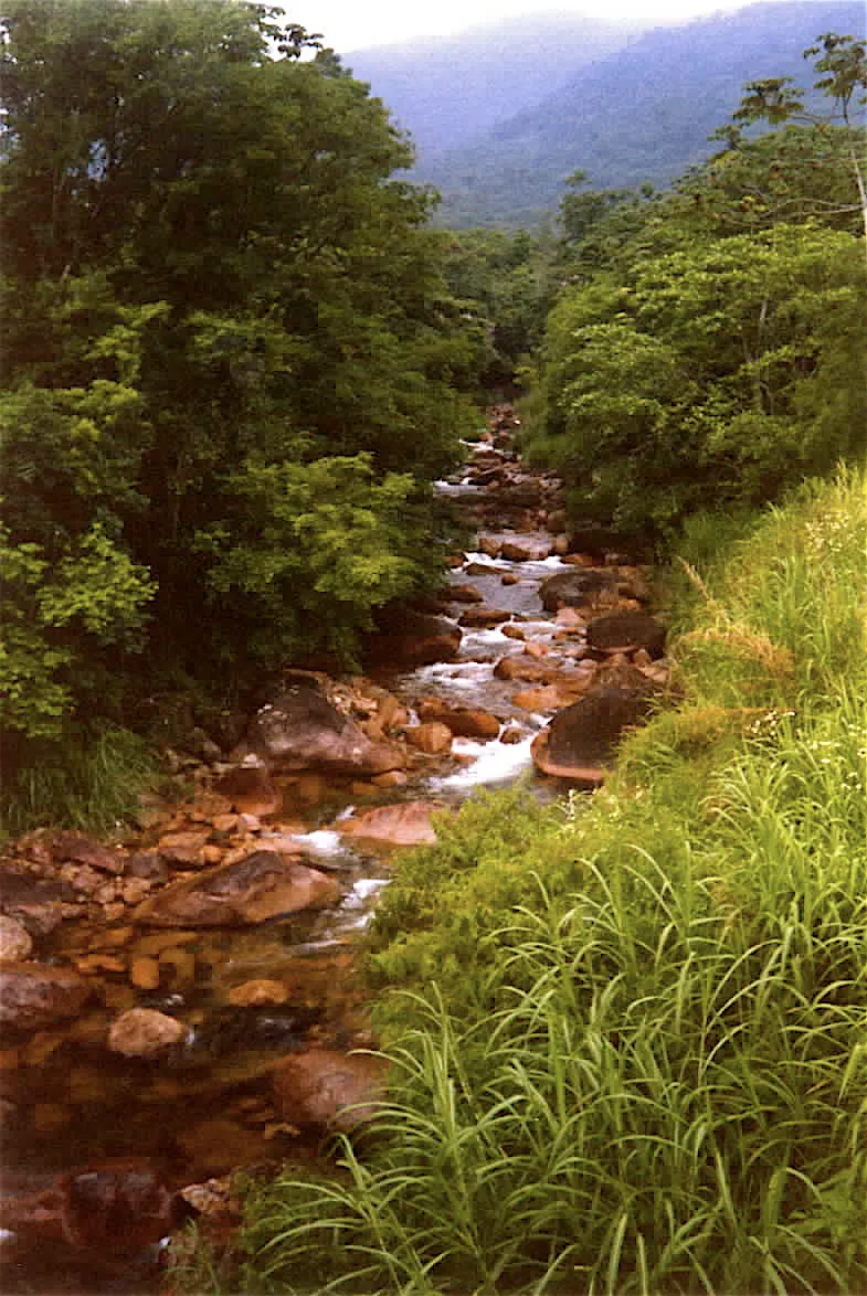 Fazenda à venda e para Arrendar de 98 ha em Guaratuba, PR, Brasil